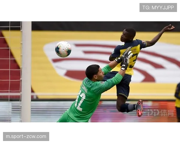 厄瓜多尔南美新势力崛起 年轻阵容大赛经验待检验